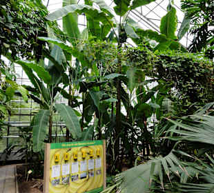 Infotafeln im Gewächshaus für die Besucher