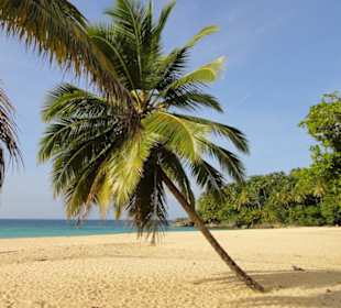 Samana-Las Terrenas Tour