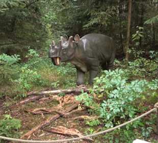 Dinosaurier Museum Altmühltal