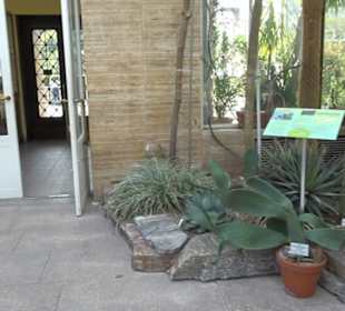 Gewächshäuser Botanischer Garten