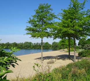 Der Strandbereich des Mahndorfer Sees