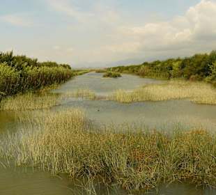 Kanal im S`Albufera