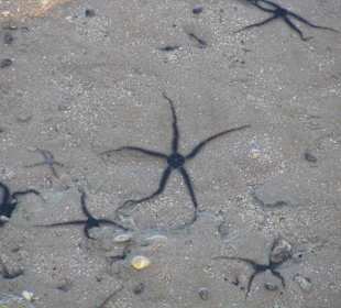 Фото с пирса