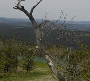 Blick vom Fichtelberg