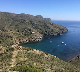 Wandern Roses / Rosas