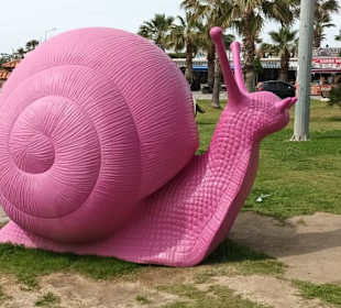 Ja, wo ist den hier das Wasser bitte?