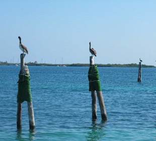 Isla Mujeres