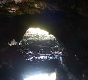 Jameos del Agua