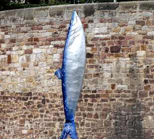 Der "Zissel-Häring" am Rondell