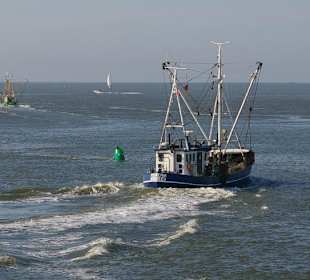 Fischerboote