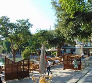 Gemütliche Einrichtung