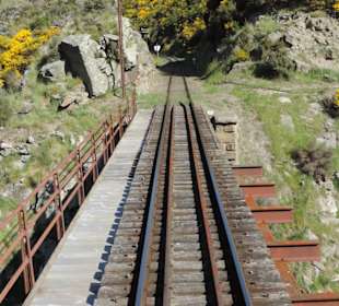 Mit der Taieri Railway durch die Natur Neuselands