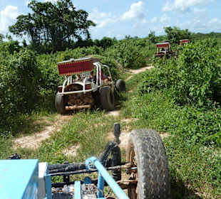 Fahrspaß durch schöne Landschaft