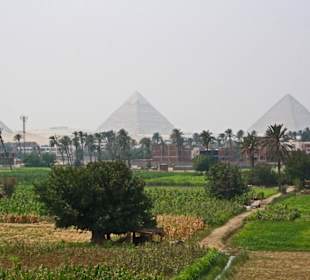 Pyramiden - Ausflug mit Mohamed