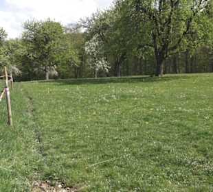 Freizeitanlage Schwanholz