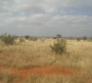Tsavo Ost