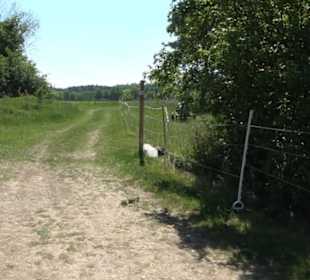 Wanderweg Sieben-Täler-Runde 
