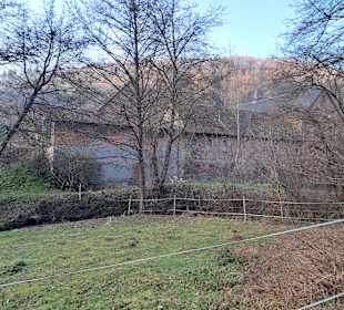 Wandern Horbach in Horbach