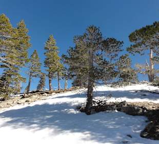 Горы Сан-Габриэль - почти русский вид