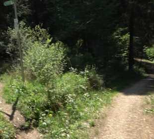 Premiumwanderweg Hochgehschätzt