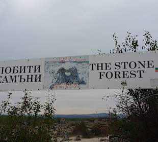 The Stone Forest