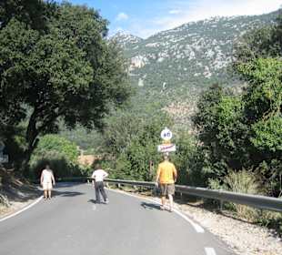 Serra d`Alfabia