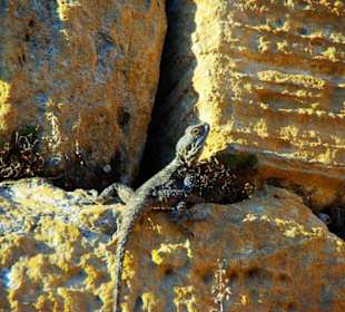 Sulahikulle - Vergessene Stadt