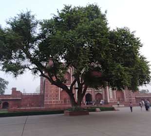Im Gelände des Taj Mahal