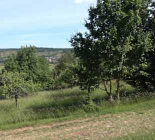 Früchtetrauf - Wurmlinger Kapellenwegle