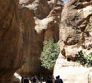 Spacer po Mieście Wykutym w Skale - Petra