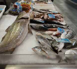 Frischer Fisch 