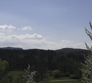 Monte Kik