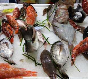 Rundgang durch den Mercato Civico di San Benedetto