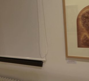 Theodor Zink Museum