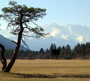 Moorlandschaft mit Blick zum Gebirge