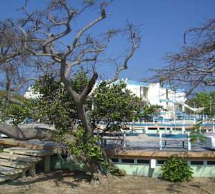 Centro Comercial Hicacos