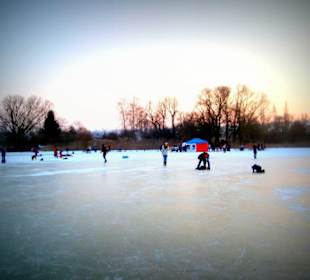 Skating Reichenau
