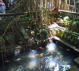Affenwald in Ubud