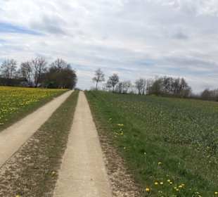 Heckenerlebnispfad Apfelstetten