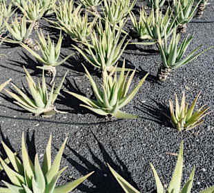 Fahrt von Ost über Nord nach West