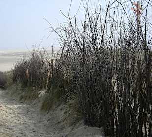 Landschaft auf Spiekeroog