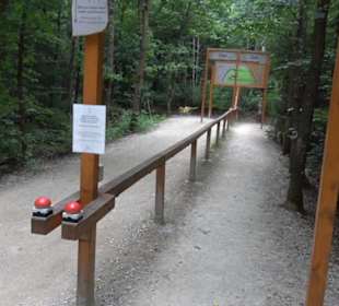 Dinosaurier Museum Altmühltal