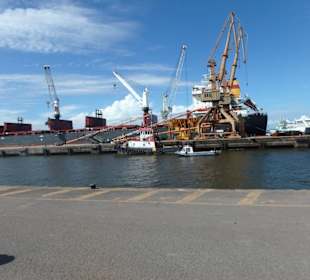 Teilansicht des Hafens