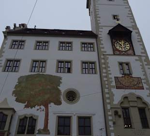 Stadtbesichtigung Würzburg