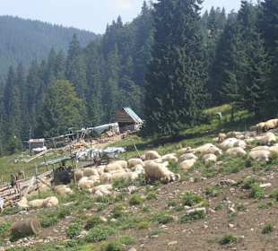 Parcul Natural Apuseni 