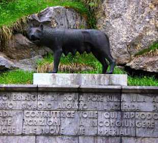 Der Plöckenpass 06-2011