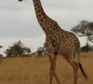 Ona przywitała nas w parku