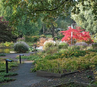 Rundgang durch das herbstliche "Planten un Blomen"