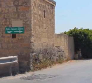 Malta Falconry Centre