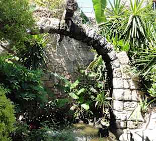 Socratous Garden 